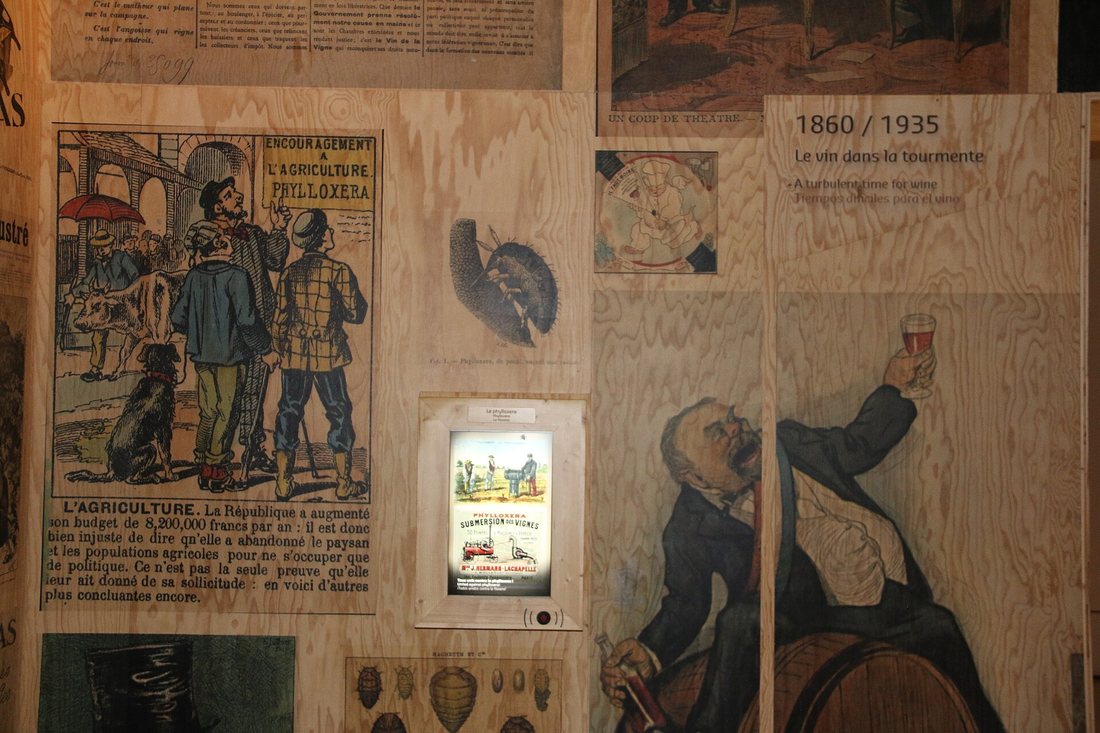 L'histoire du vin